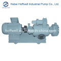 CE Approved 2W. W Fuel Oil Twin Screw Pump